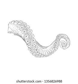 Hand drawn feather algae illustration vector 