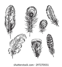 "hand drawn feather collection" for design