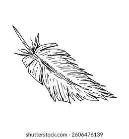 Hand drawn feather illustration in ink lineart style. Monochrome artwork for use in textile design, farm and wedding branding, Easter graphics, boho packaging, craft projects and rustic stationery.