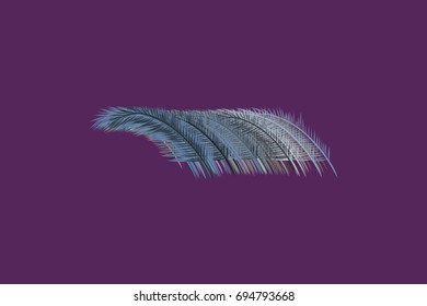 Hand drawn feather illustrations background, good for graphic design, flyers, wallpapers or booklets. Cartoon style vector graphic.