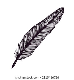 Hand drawn feather isolated on white background.