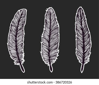 Hand drawn feather isolated on black background. Feather set. Artistically hand drawn vector illustrations. Vintage tribal feather