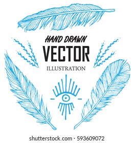 Hand drawn feather isolated on white background. Feather set. Artistically hand drawn vector illustrations. Vintage tribal feather