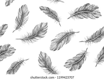 Hand drawn feather on white background