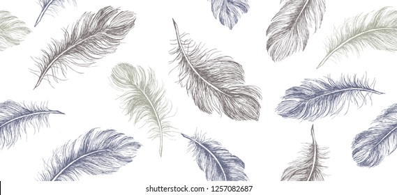 Hand drawn feather on white background