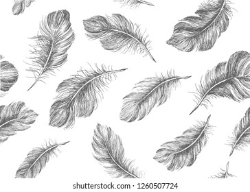 Pluma dibujada a mano sobre fondo blanco