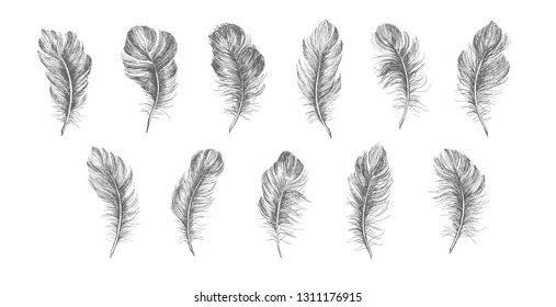 Hand Drawn Feather On White Background Stock Vector (Royalty Free ...