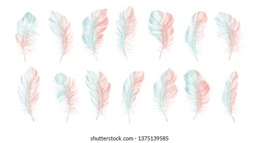 Hand drawn feather on white background