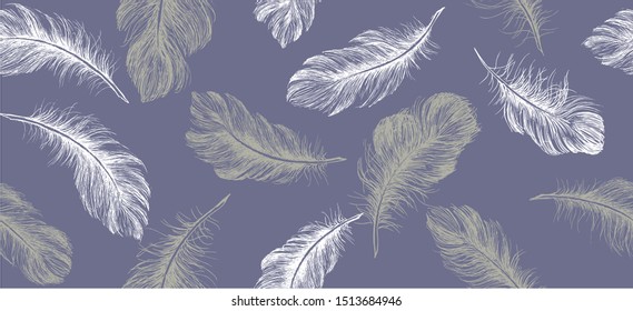 Hand drawn feather on white background