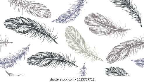 Hand drawn feather on white background.