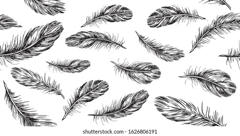 Hand drawn feather on white background.