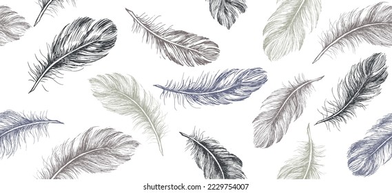 Hand drawn feather on white background