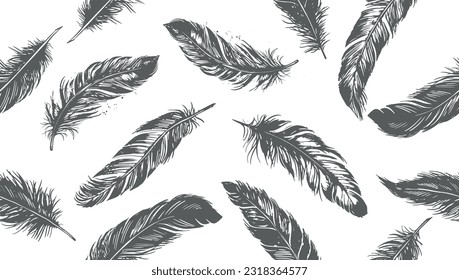 Hand drawn feather on white background