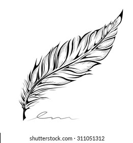 Hand drawn feather on white background