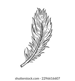 Hand drawn feather sign black color sketch style vector art illustration.