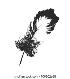 Hand drawn feather. Sketch style. Template Vector.