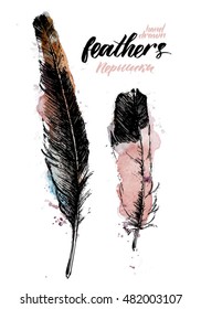 Hand drawn feather. Vector illustration. Traced watercolor illustration.