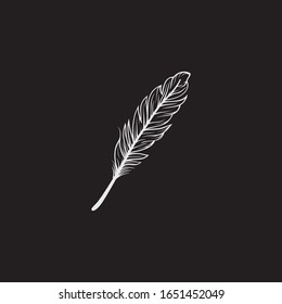 hand drawn feather vector image
