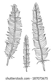 Hand drawn feathers