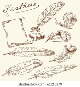 hand drawn feathers