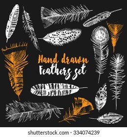 Hand drawn feathers collection