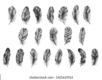 Hand drawn feathers. Doodle sketch.