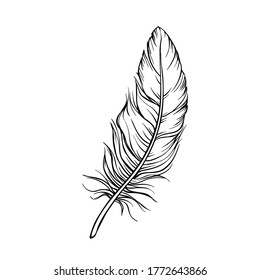 Drawing Feather Images Stock Photos Vectors Shutterstock