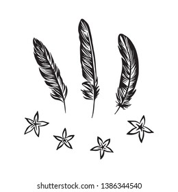 Hand drawn feathers and flowers set outline sketch. Vector black ink drawing isolated on white background. Graphic illustration.