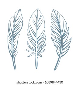 Hand drawn feathers illustrations set.
Feathers vector sketch. Feathers vintage style drawing.