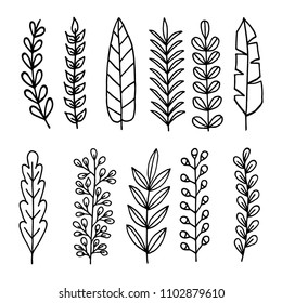 hand drawn feathers isolated 