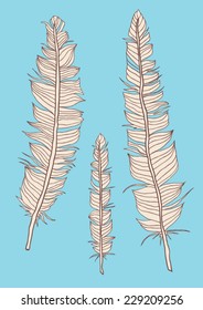 Hand drawn feathers on blue background