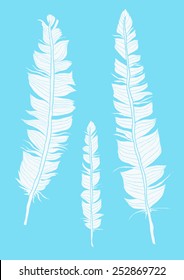 Hand drawn feathers on blue background