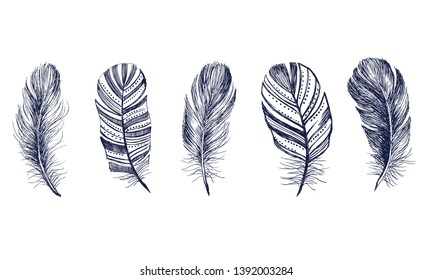 Hand drawn feathers on white background