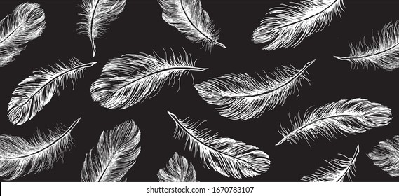 Hand drawn feathers on white background.
