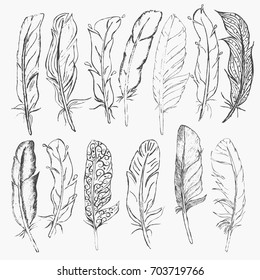 Hand drawn feathers on white background
