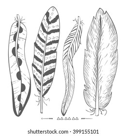 Hand drawn feathers set