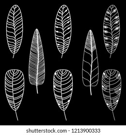 Hand drawn feathers set. Monochrome Vector illustration.
