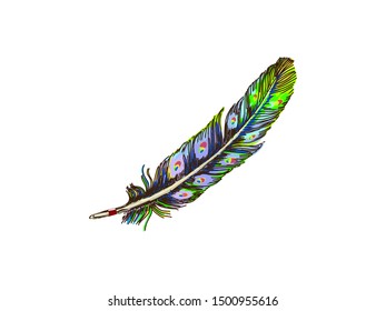 Hand drawn feathers set on white background