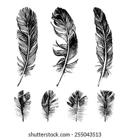 Hand drawn feathers set on white background