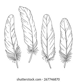 Hand drawn feathers set on white background. Vector illustration