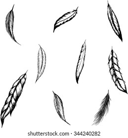 Hand drawn feathers set on white background