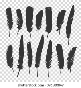 Plumas dibujadas a mano fijadas sobre un fondo transparente