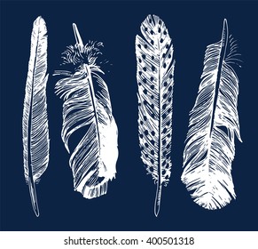 Hand drawn feathers set on blue background