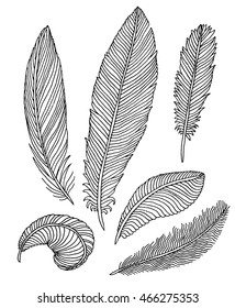 Hand drawn feathers set on white background