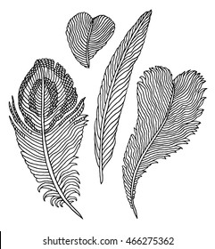 Hand drawn feathers set on white background