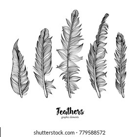 Hand drawn feathers set on white background.