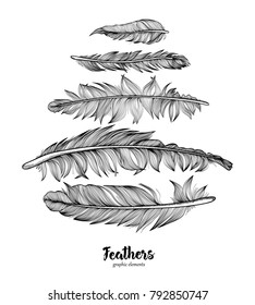 Hand drawn feathers set on white background.