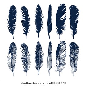 Hand drawn feathers and their silhouettes set on white background