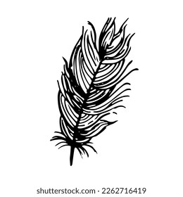 Hand drawn feathers. Vector doodle illustration. Isolated on white background