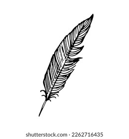 Plumas dibujadas a mano. Ilustración del doodle vectorial. Aislado sobre fondo blanco